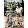 The Woman on the Beach ( Una Mujer en la playa )
