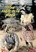 DVD : The Woman on the Beach ( Una Mujer en la playa ) [DVD]