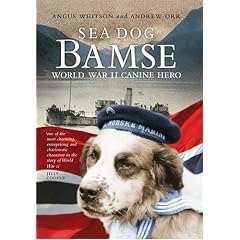 Sea Dog Bamse