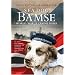 Sea Dog Bamse