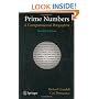 Prime Numbers: A Computational Perspective