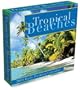 Tropical Beaches 2010 Daily Desk Calendar