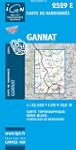 2529e gannat