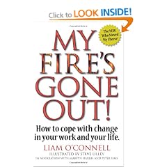 My Fire's Gone Out!: How to Cope With Change in Your Work and Life