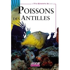 Poissons des Antilles