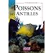 Poissons des Antilles