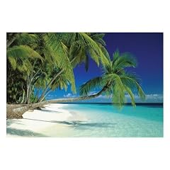 1art1 40778 Str�nde - Malediven, Palmen Poster (91 x 61 cm)