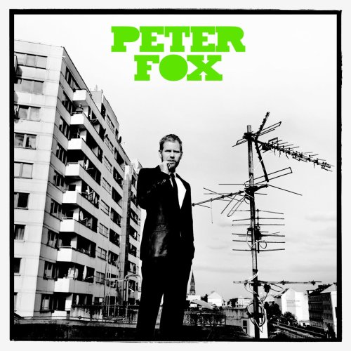 Peter Fox - Ich Deine Steine, Du Steine Lyrics - Zortam Music