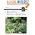Creating Beds & Borders (Fine Gardening Design Guides)
