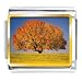Jewelry : Tree In Autumn Italian Charms Bracelet Link