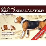 color atlas of small animal anatomy the essentials