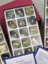 Igneous Rock Study Kit
