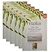 Eminence Clear Skin Probiotic Masque Card Sample - Set of 6 - Travel Size 100% Fresh Organic
