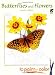 Butterflies and Flowers to Paint or Color (Dover Art Coloring Book) by Ruth Soffer
