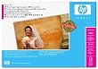 Hewlett Packard Q5489A Premium Plus Paper 13X19 25 Sht Satin for Designjet 30 130 Series