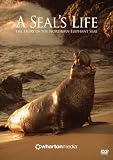 A Seal`s Life - The Story of the Northern Elephant Seal