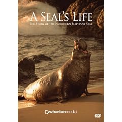 A Seal's Life - The Story of the Northern Elephant Seal by 