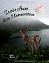 Zwischen den Elementen