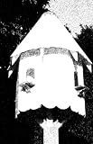 How to Build Your Own Dovecote with Complete Plans