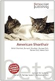 American Shorthair