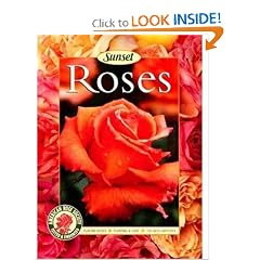 Roses: Placing Roses, Planting & Care, The Best Varieties