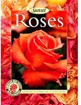 Roses: Placing Roses, Planting & Care, The Best Varieties