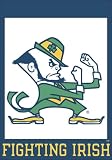 Notre Dame Fighting Irish Large House Flag h
