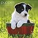 Puppies 2016 Calendar: Includes Downloadable Wallpaper