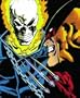 Marvel Comics Presents: Wolverine, Vol. 4 (v. 4)