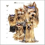 CoasterStone Yorkshire Terrier
