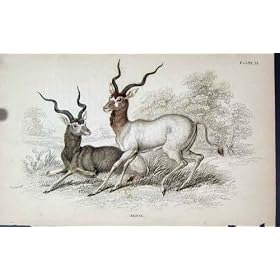 Biblioth�que C1840 Ad.Dax de Naturalistes de Jardines
