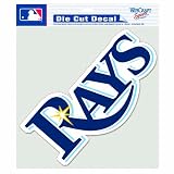 MLB Tampa Bay Devil Rays 8-by-8 Inch Diecut Colored Decal
