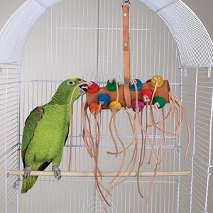 http://ecx.images-amazon.com/images/I/51xceDcBhRL._AA300_.jpg