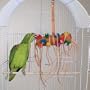 BONKERS - Brainy Bird Wild Series Toys