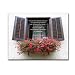 All Occasion Postcard - Chance, box of 50 postcards