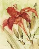 Red Day Lily by Cheri Blum poster print,8 in. x 10 in.