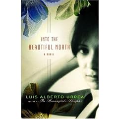 Into the Beautiful North: A Novel