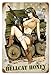 U.S. WW2 Vintage Metal Sign Hellcat Honey with Thompson SMG
