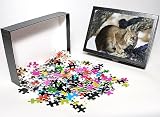 Photo Jigsaw Puzzle of Bobcat from Ardea Wildlife Pets