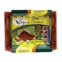 Organic Cat Grass Garden Kit
