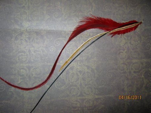 feather hair extensions kit. Feather Hair Extension Kit,