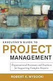 Executive s Guide to Project Management: Organizational Processes and Practices for Supporting Complex Projects