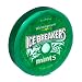 Health & Personal Care : Ice Breakers Wintergreen Tin