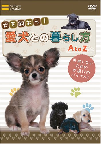 ����������!�����Ƃ̕�炵�� AtoZ [DVD]