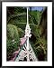 Mustique Grenadines St. Vincent and the Grenadines Superstock Photography Collection Framed Art Poster Print, 31x39