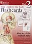 Trail Guide to the Body Flashcards Volume 2: Muscles of the Human Body