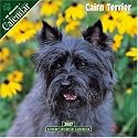 Cairn Terrier 2007 Wall Calendar