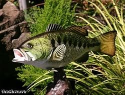 Taxidermy 20" Fiberglass Large Mouth Bass Fish Statue