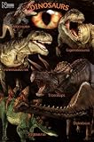 Dinosaurs - Natural History Museum Poster Poster Print, 36x24