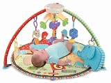 Fisher-Price Deluxe Musical Mobile Gym, Luv U Zoo